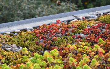 the cost of Brandon Bank green roof installation