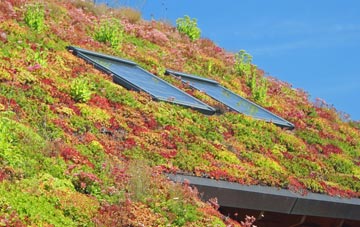Brandon Bank living roof systems